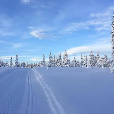 度假居 Cozy In With Sauna Sjusjoen